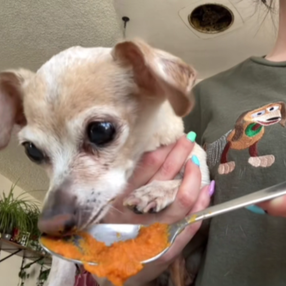 Pudim de Morango (25)